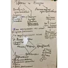 Цели и Входы